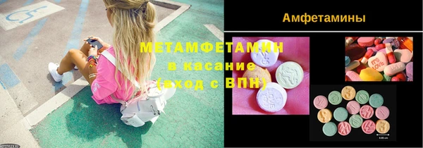хмурый Пересвет