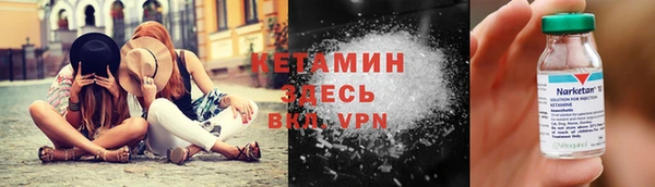 хмурый Пересвет