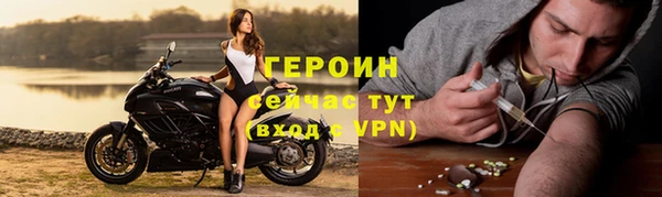 хмурый Пересвет