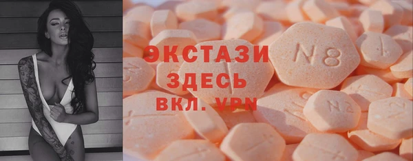 хмурый Пересвет