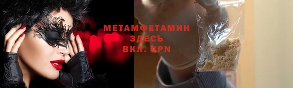 хмурый Пересвет