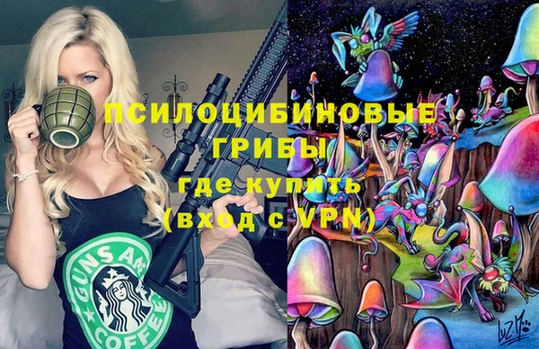 хмурый Пересвет