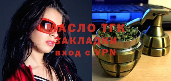 хмурый Пересвет